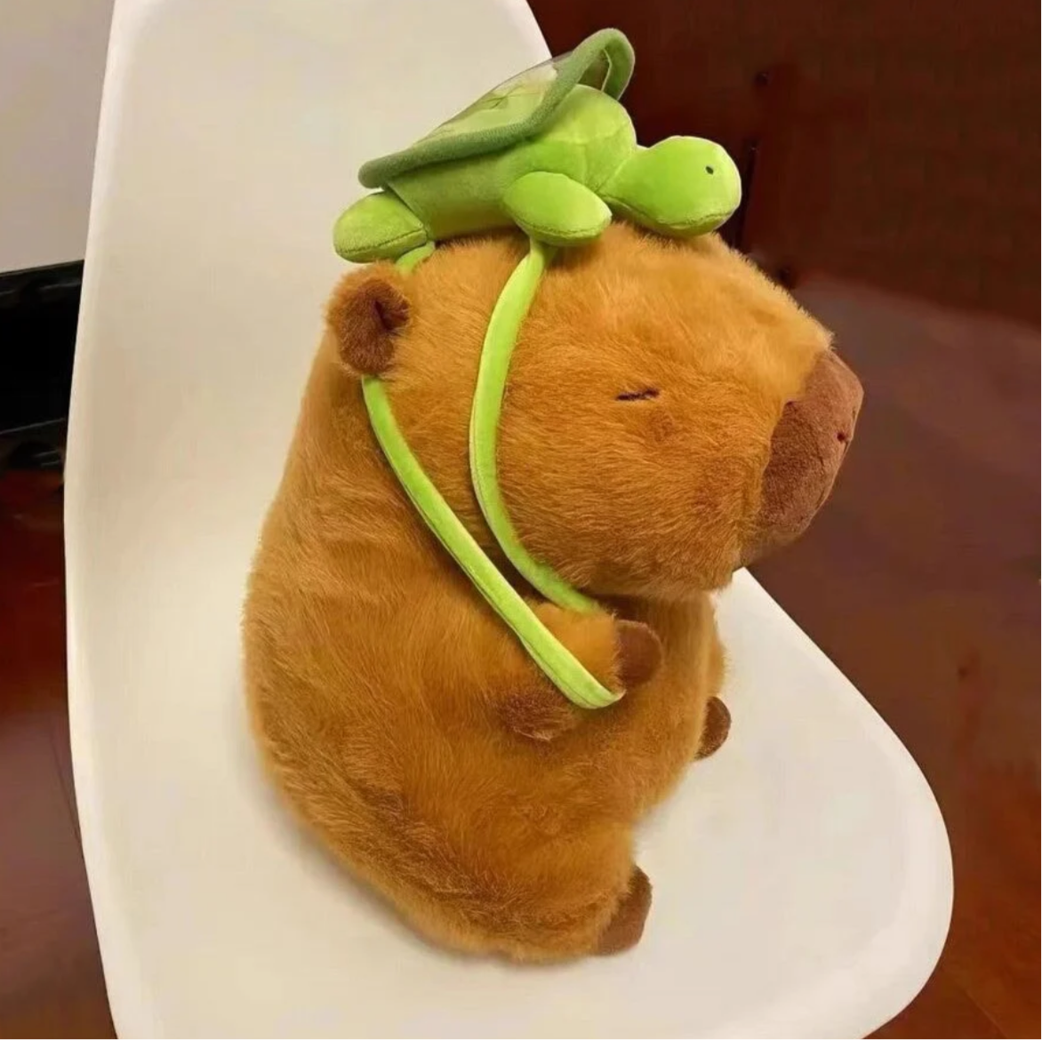 Capybara Turtle Back Pack
