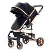Classic 3-in-1 Stroller (Black/Gold)