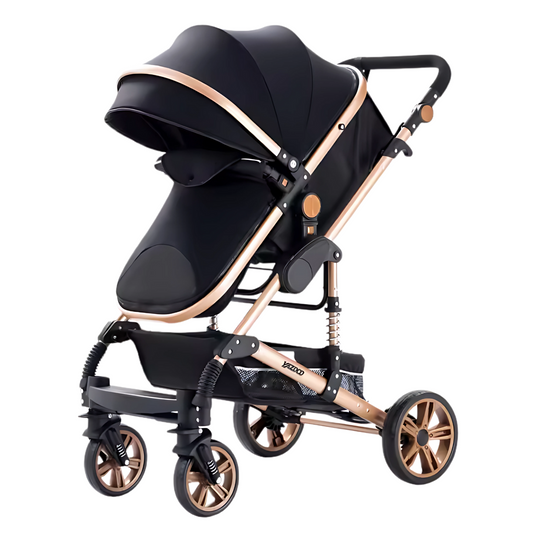 Classic 3-in-1 Stroller (Black/Gold)